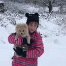 Dasha